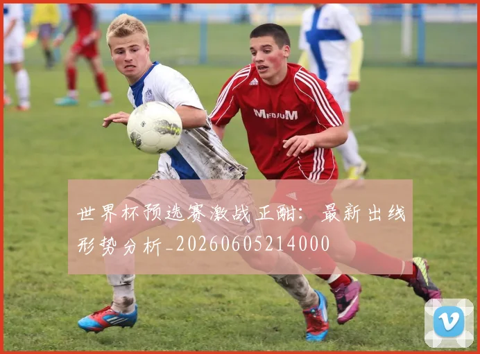 世界杯预选赛激战正酣：最新出线形势分析_20260605214000