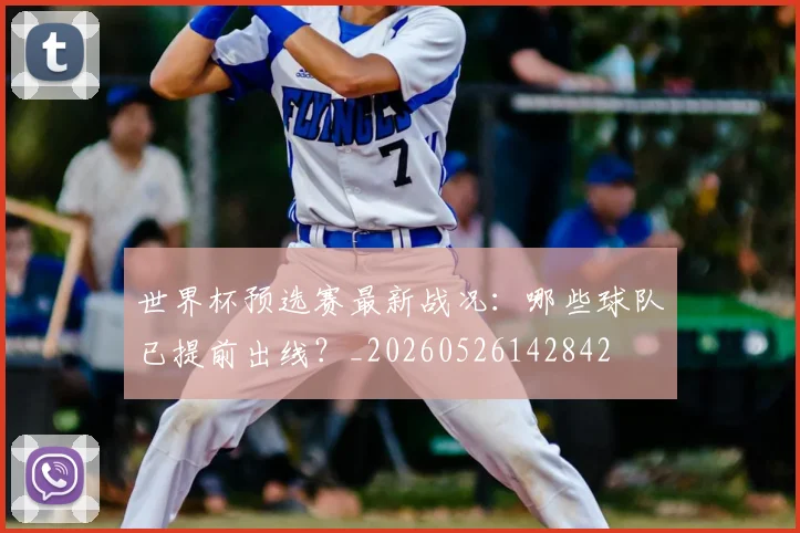 世界杯预选赛最新战况：哪些球队已提前出线？_20260526142842