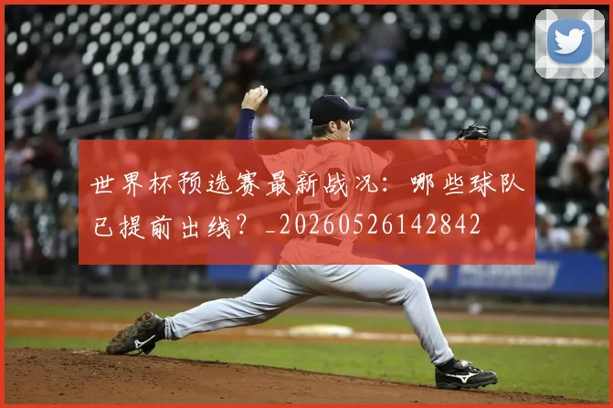 世界杯预选赛最新战况：哪些球队已提前出线？_20260526142842